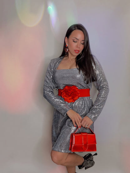 Silver Sequins Dress Set