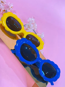 Skies Sunglasses